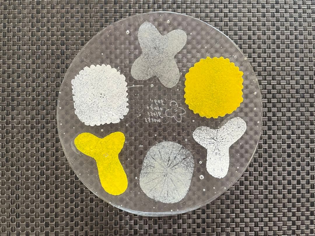 2/22まで限定価格【新品】八木麻子　wreath リース　黄色