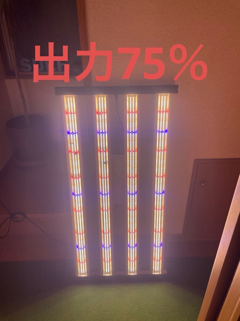 OPTIC LED CREEライト SLIM 320H 植物育成　訳あり