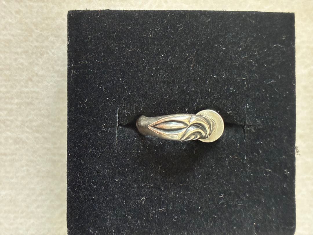 レナードカムホート　レイブンフープピアス