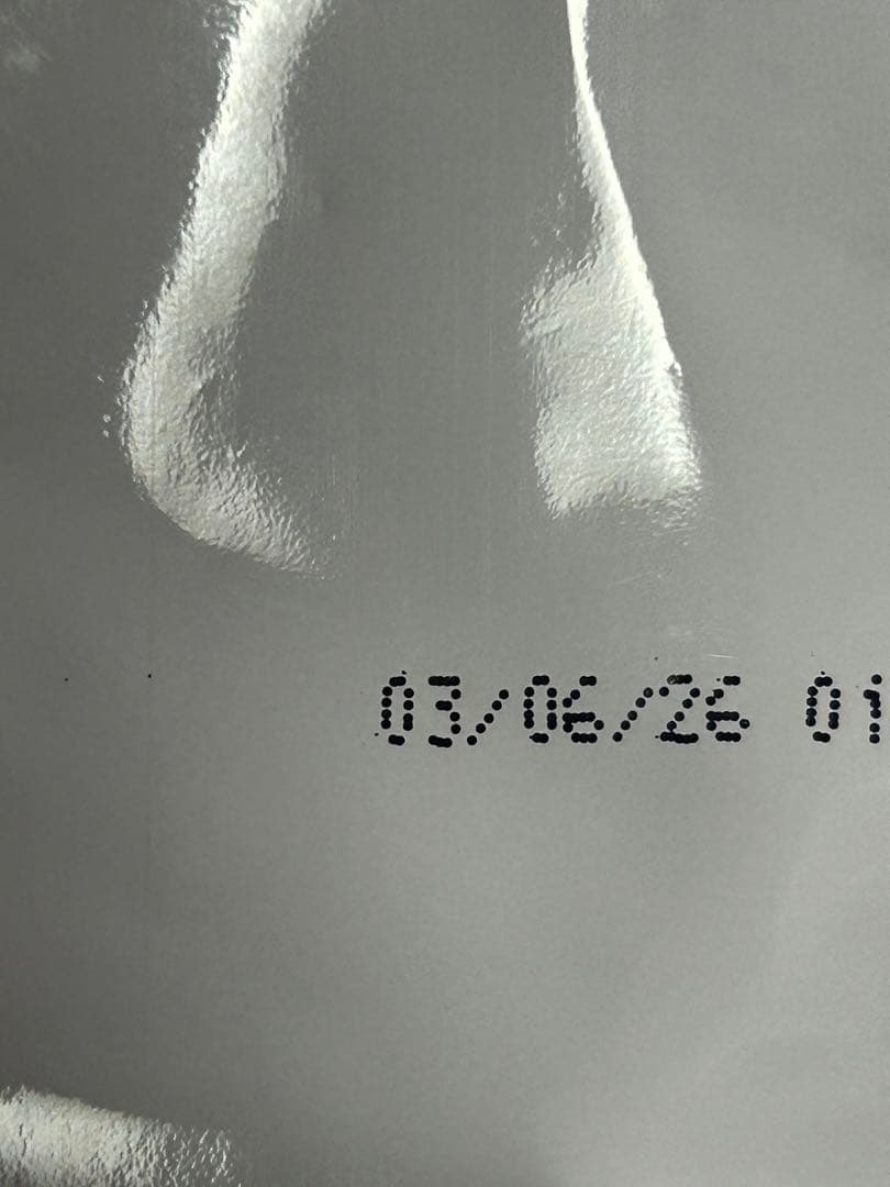 【専用】ロイヤルカナン ダックスフンド成犬用 12キロ