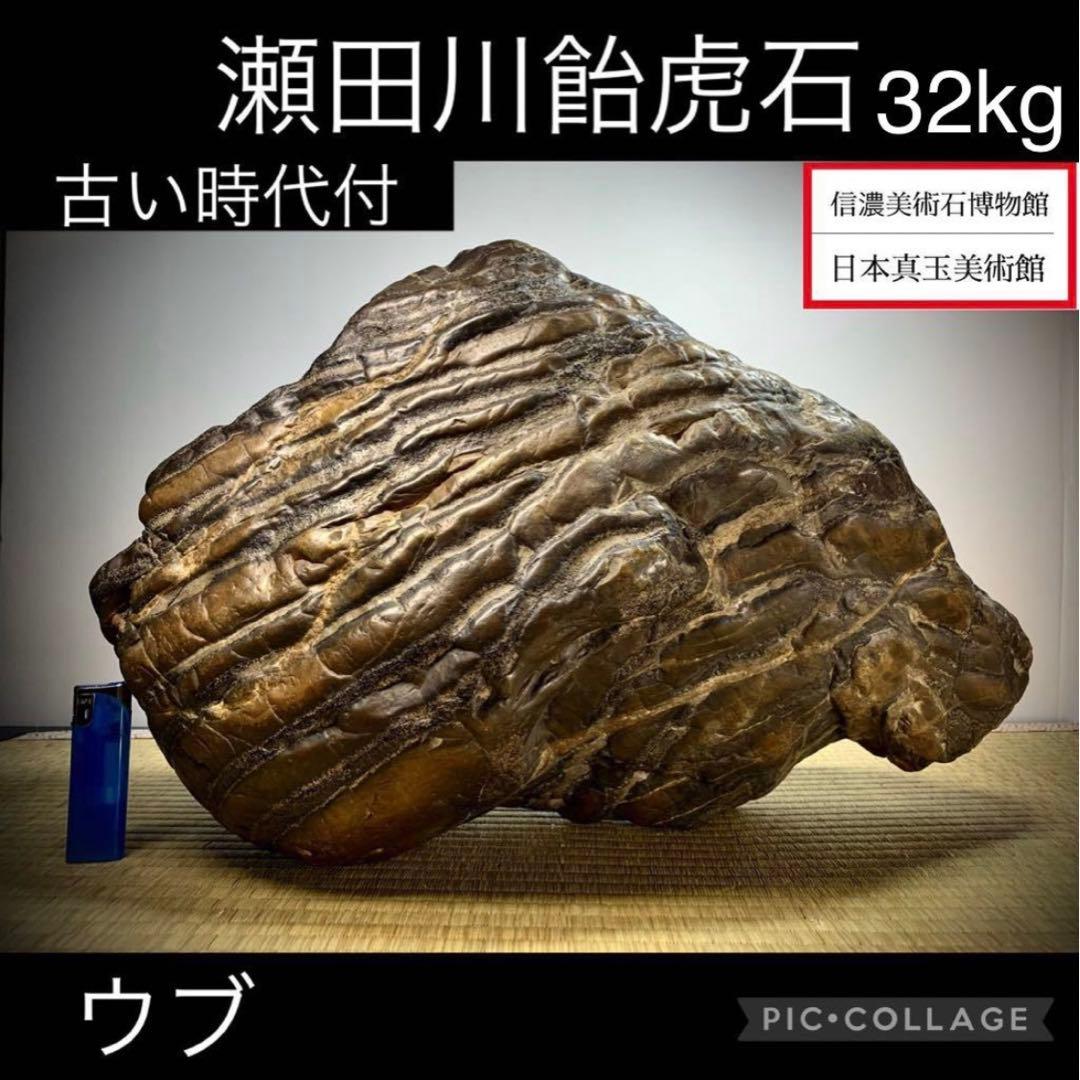 4334 瀬田川飴虎石 ウブ 横50(cm) 約32kg 自然石 鑑賞石