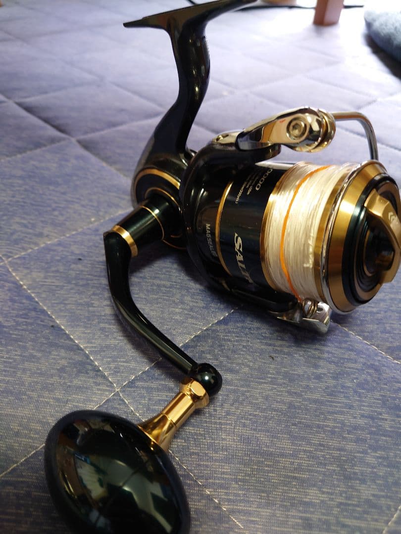 リール Daiwa Saltiga 10000-H