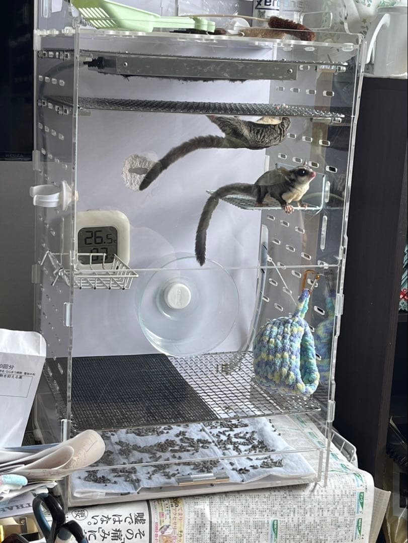 アクリルケージ　モモンガ　390High