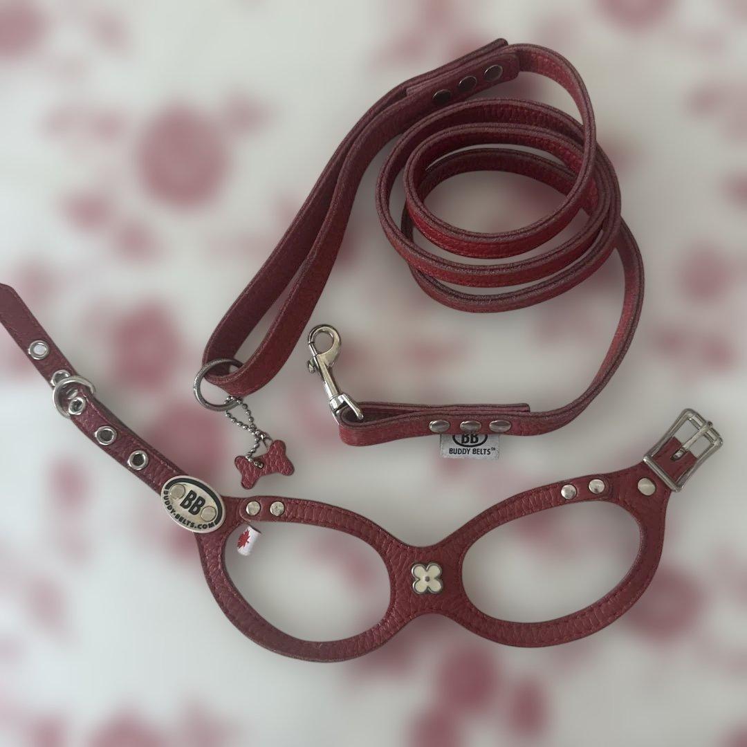 バディベルト✴︎ハーネス、リードセット