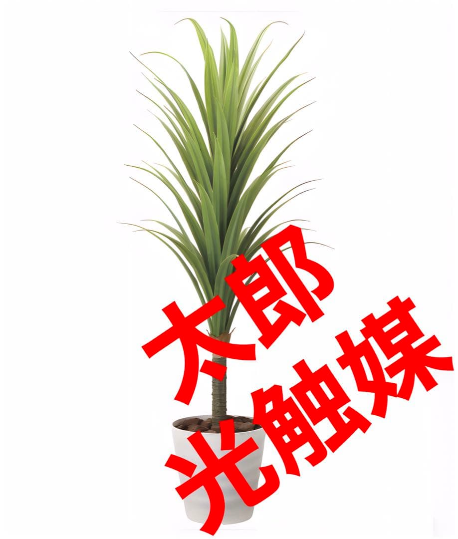 光触媒　人工観葉植物　ウォールグリーン　フェイクグリーン　ドラセナ1.8