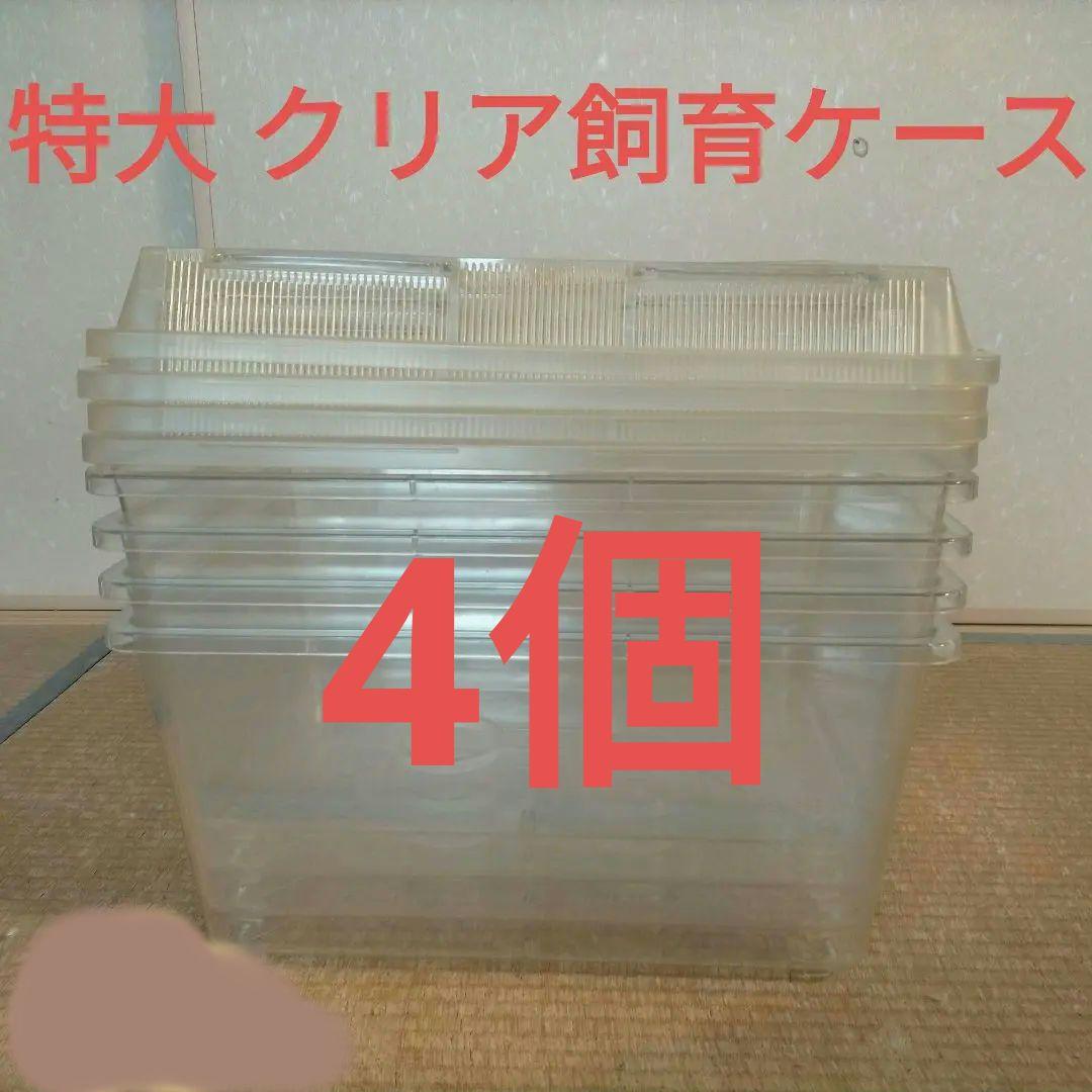 特大 クリア飼育ケース クリアプラケース 虫かご 爬虫類 4個セット