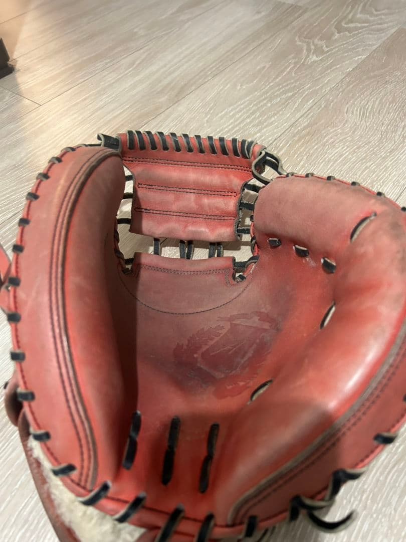 Alegria 硬式グローブ