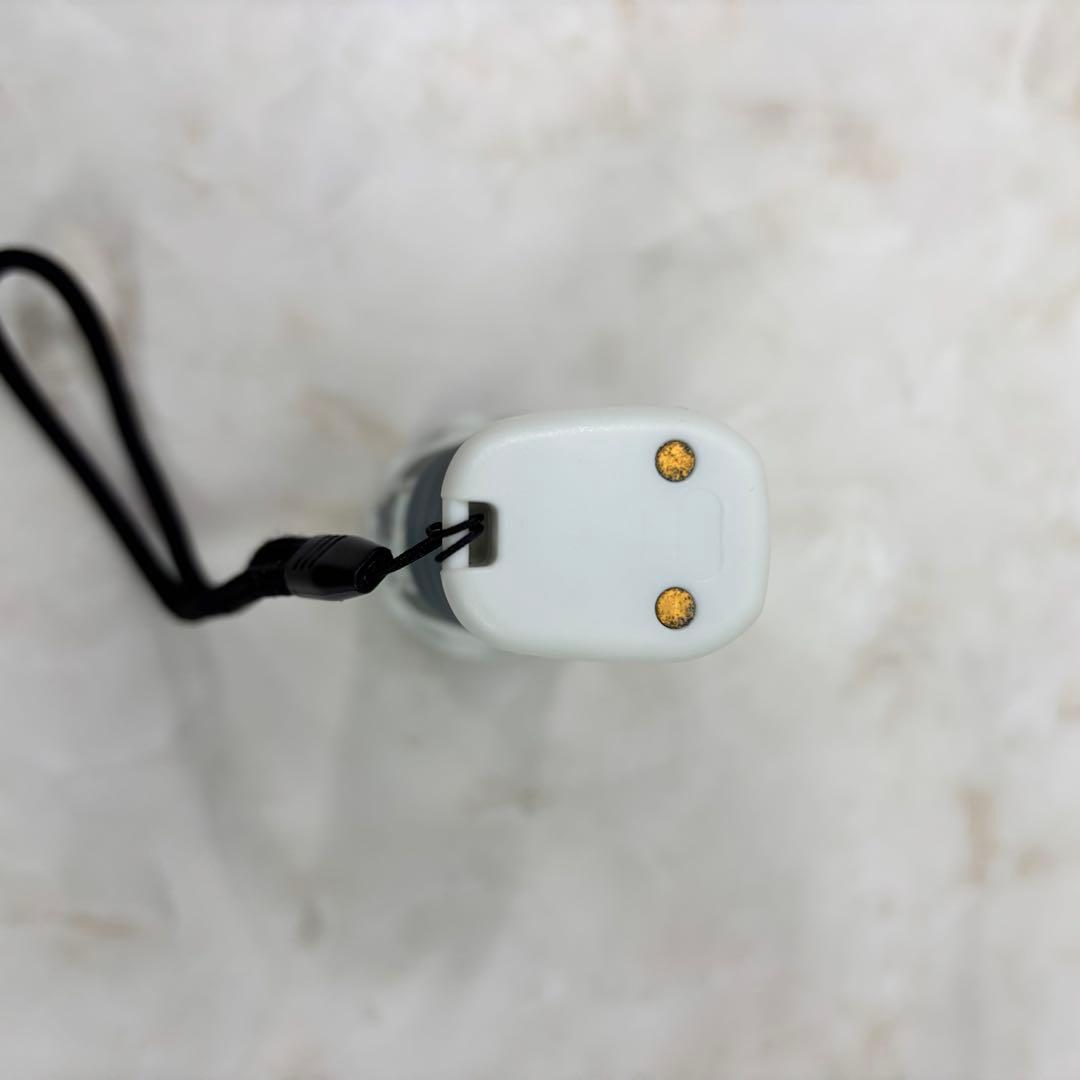 ライト・ランタン Light & Motion GoBe S 500 Spot