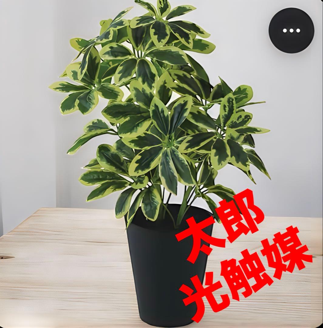 光触媒　人工観葉植物　ウォールグリーン　フェイクグリーン　イエローカポックM