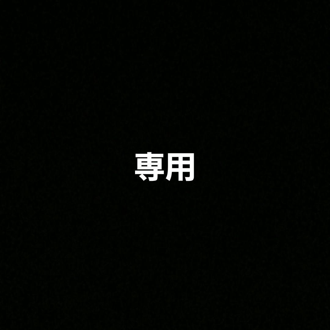 【専用】015/L-P2枚