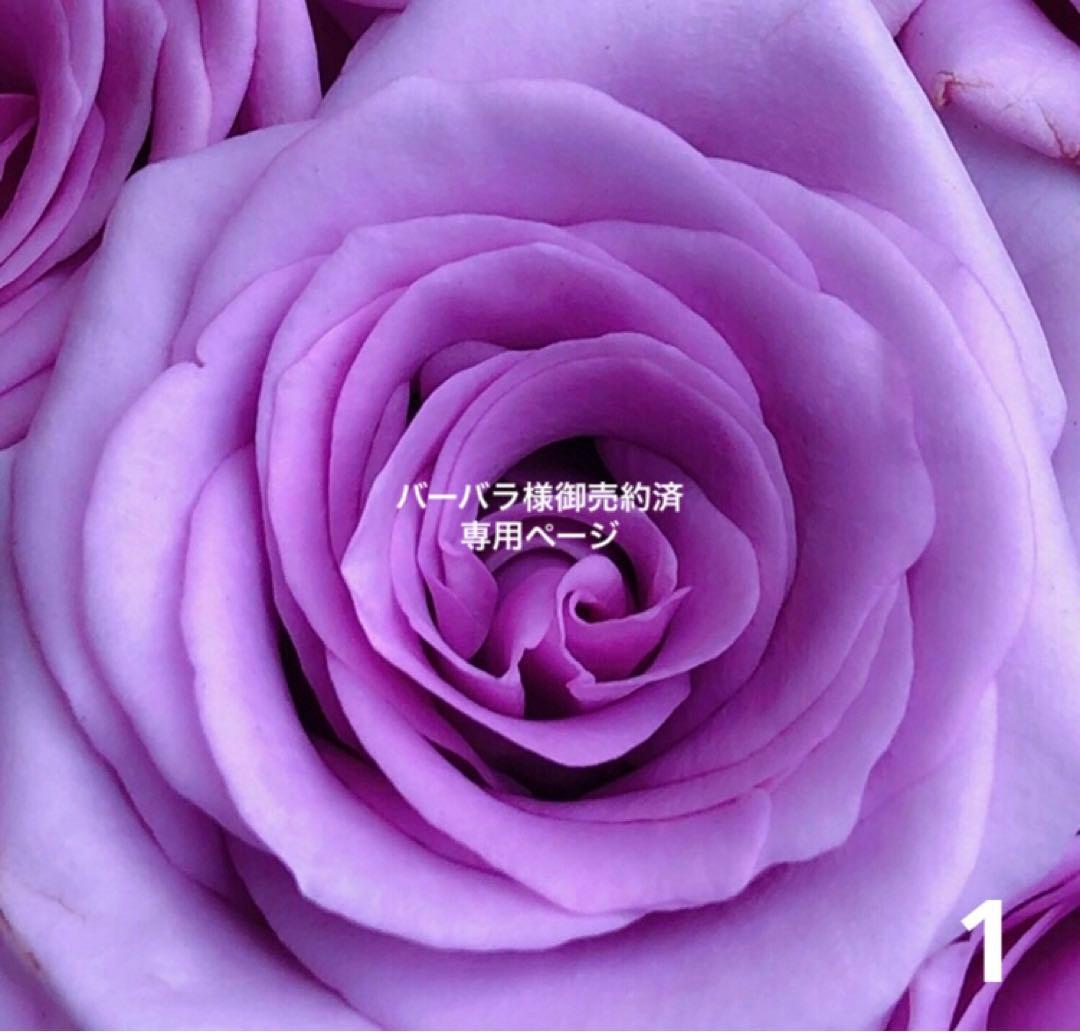 専用◇HERENDヘレンドフィギュリンひつじ羊ヒツジ未年2015年グリーン緑新品