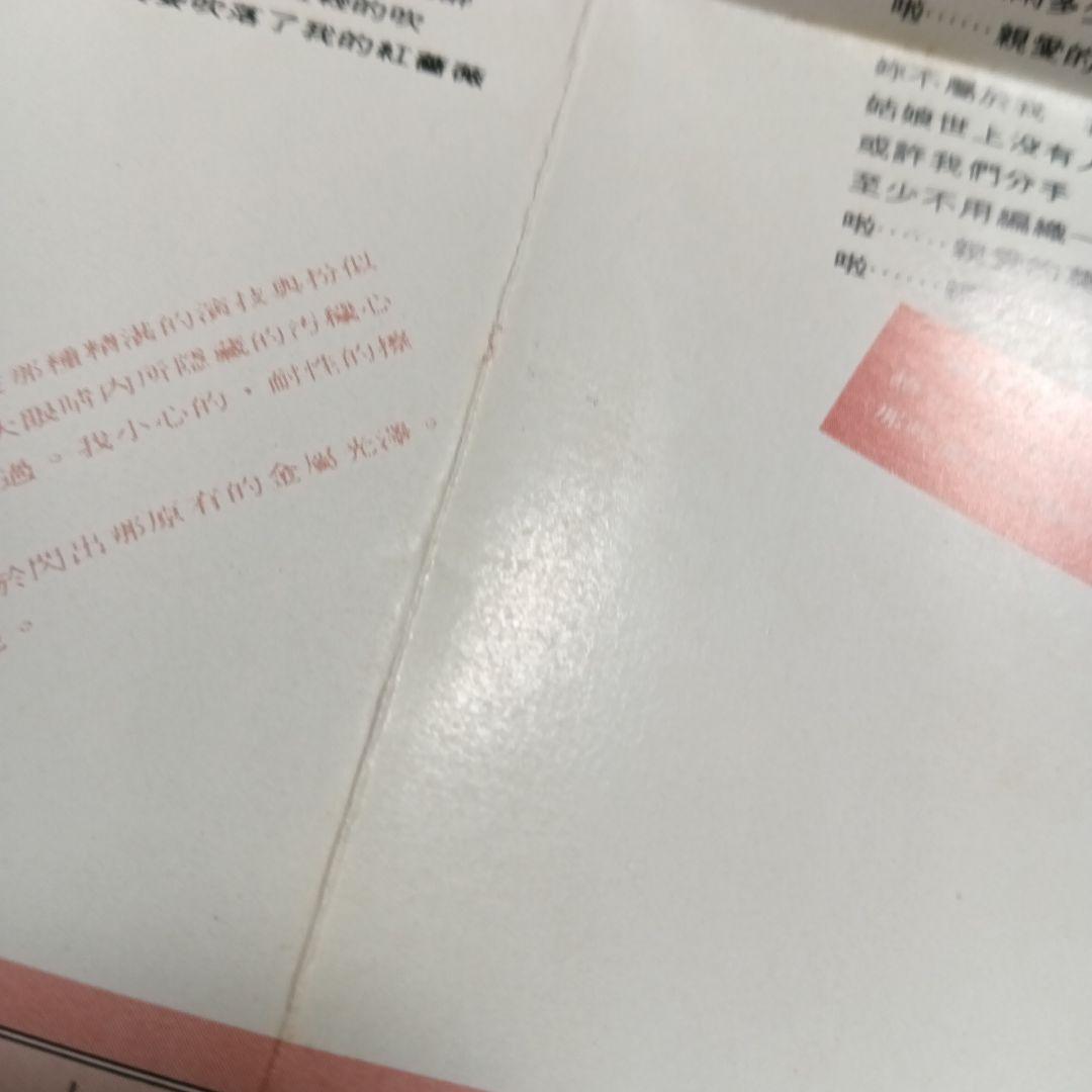 羅大佑　閃亮的日子　CD