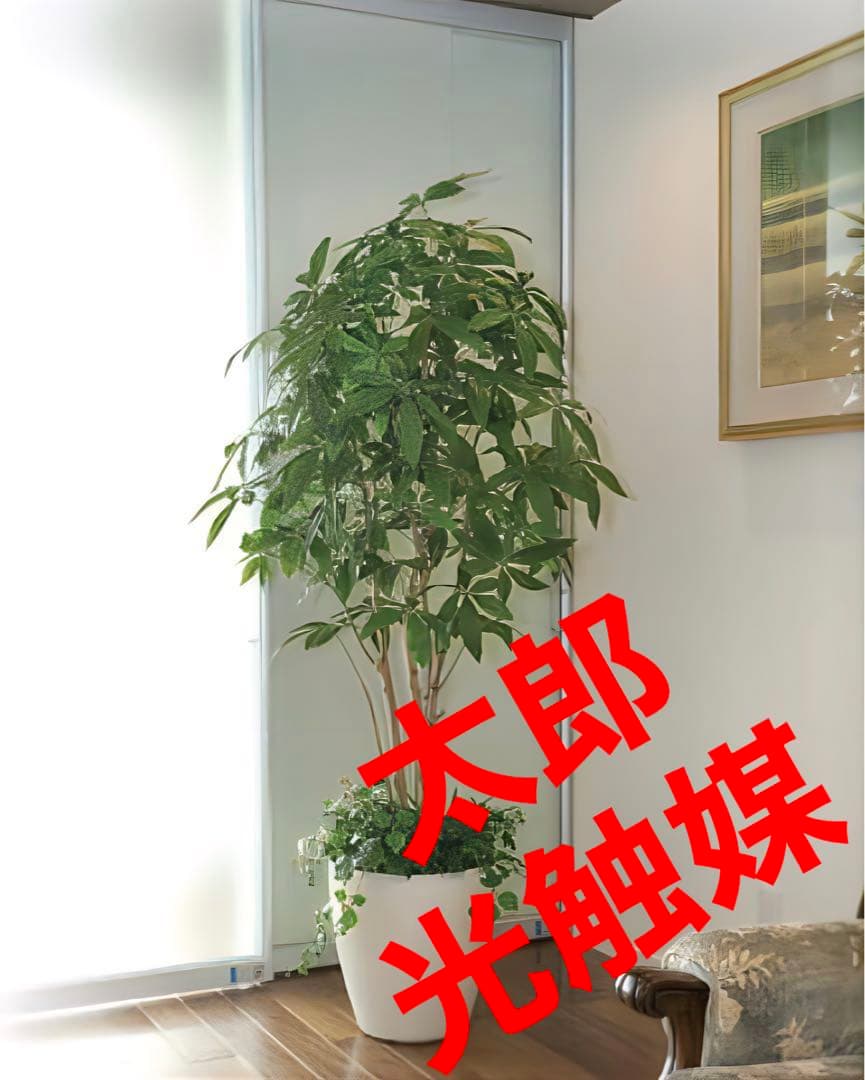 光触媒　人工観葉植物　ウォールグリーン　フェイクグリーン　パキラポット1.8m