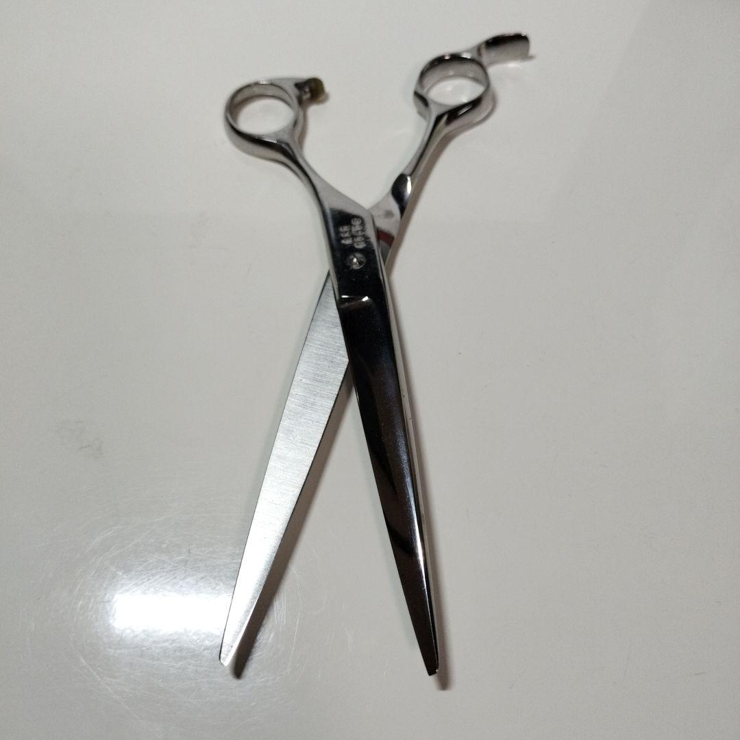 アキ RAY ステンレス セニングシザー