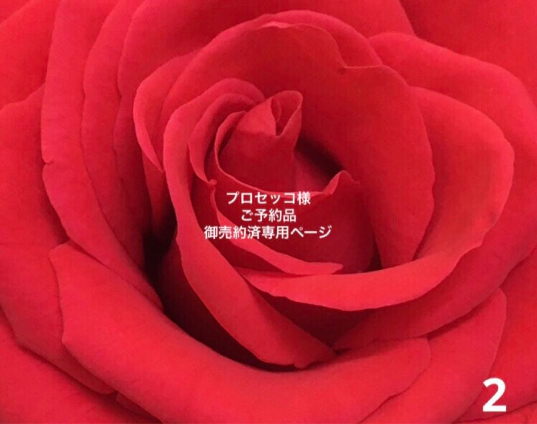 専用◇ロイヤルコペンハーゲンブルーフルーテッドハーフレースプレートペア19cA