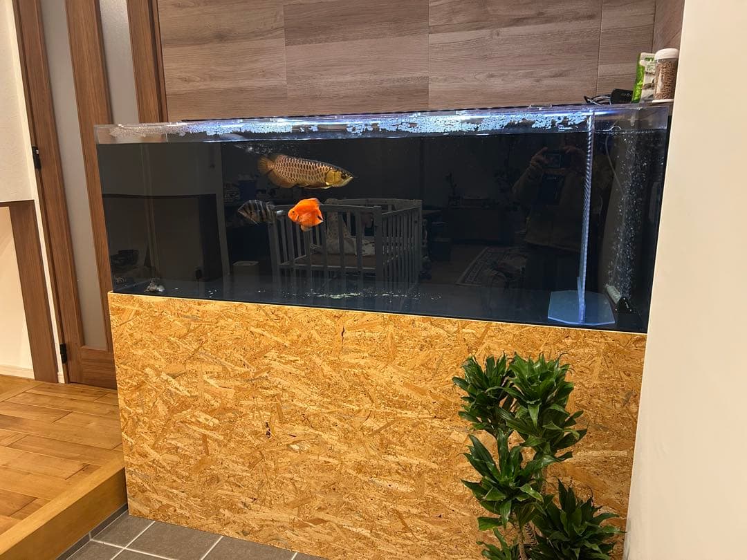 【大型オーバーフロー水槽一式】1800×600×600 黒アクリル・即立ち上げ可