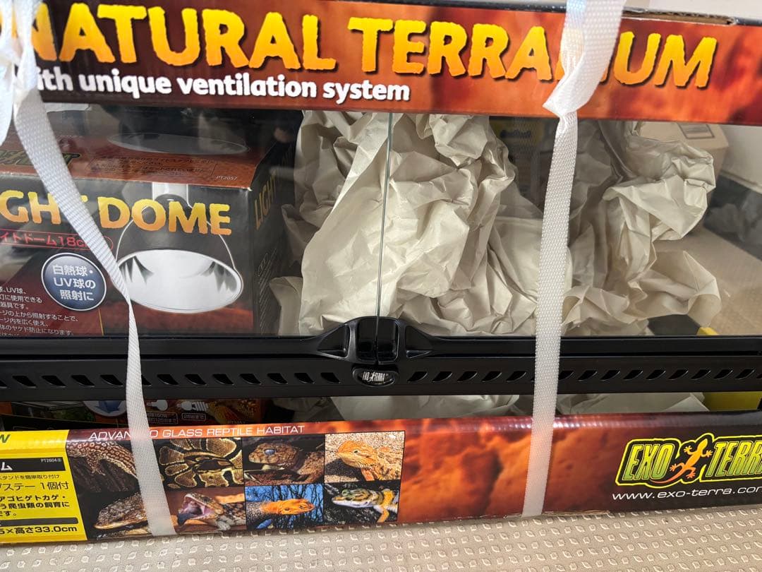 GEX EXOTERRA フトアゴヒゲトカゲ&リクガメ飼育キット送料込