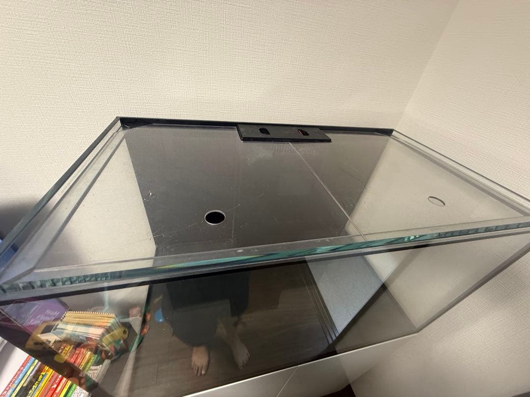 Redsea 250 オーバーフロー水槽 大きめ ホワイト