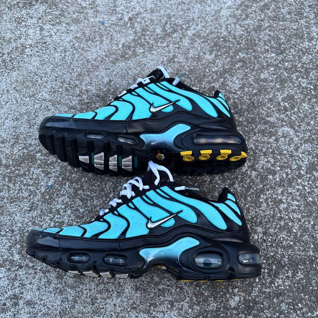Nike Air Max Plus 青黒スニーカー