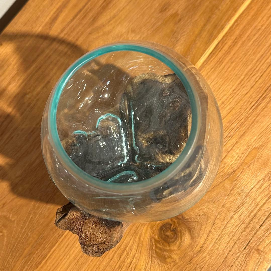 バリ島流木ガラス　w17×d14×h19cm 水槽　アクアリウムメダカ水槽801