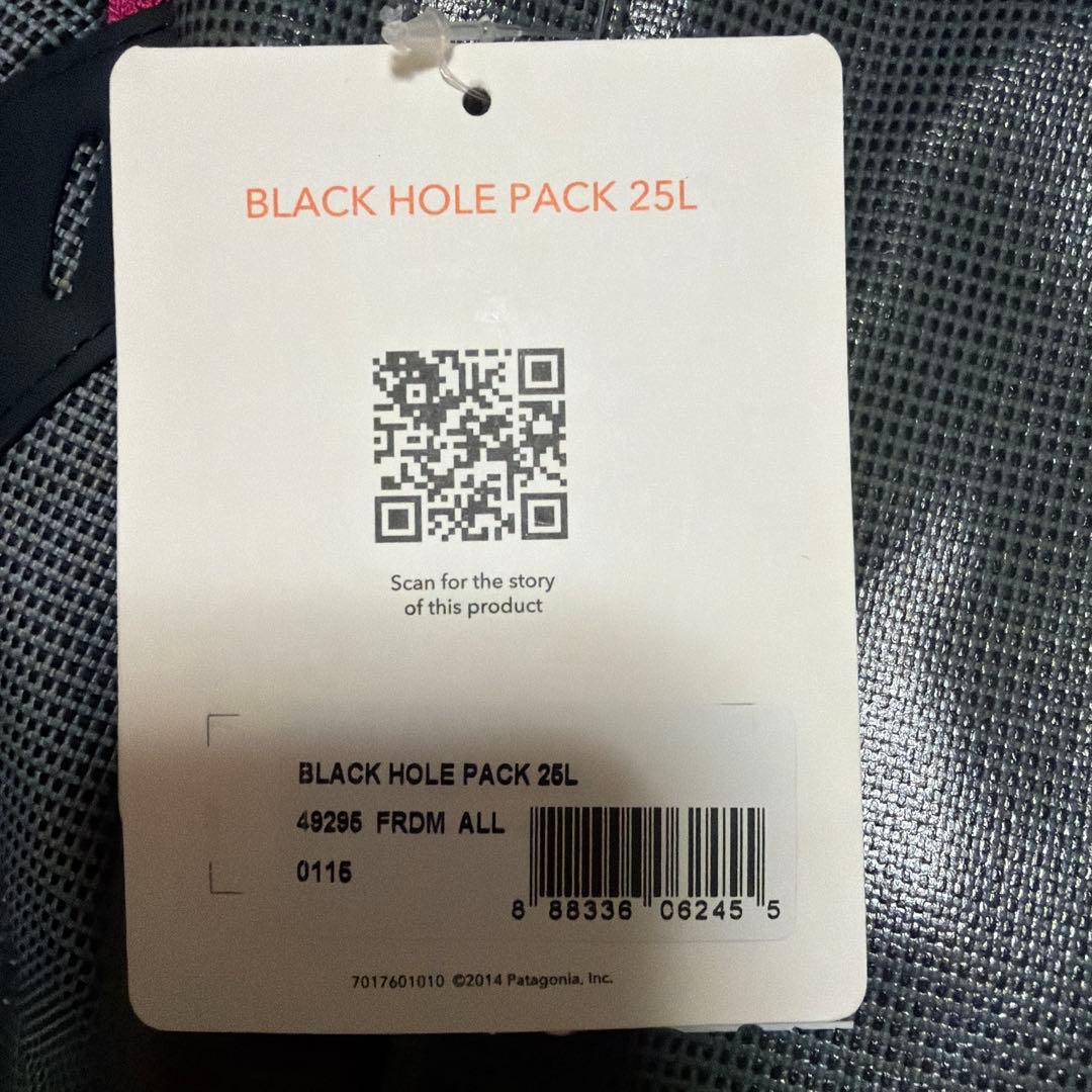 patagonia BLACK HOLE PACK 25L グレー/ピンク