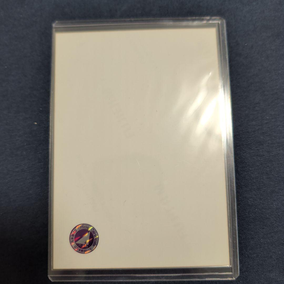 【専用】akhtsk様