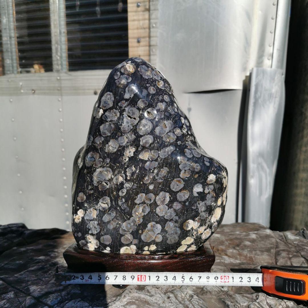 東北産　梅花石　6.7キロ　鑑賞石　石　置物　オブジェ　インテリア