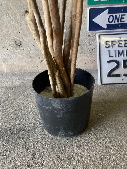 光触媒　人工観葉植物　ウォールグリーン　フェイクグリーン　アラレア@mwd