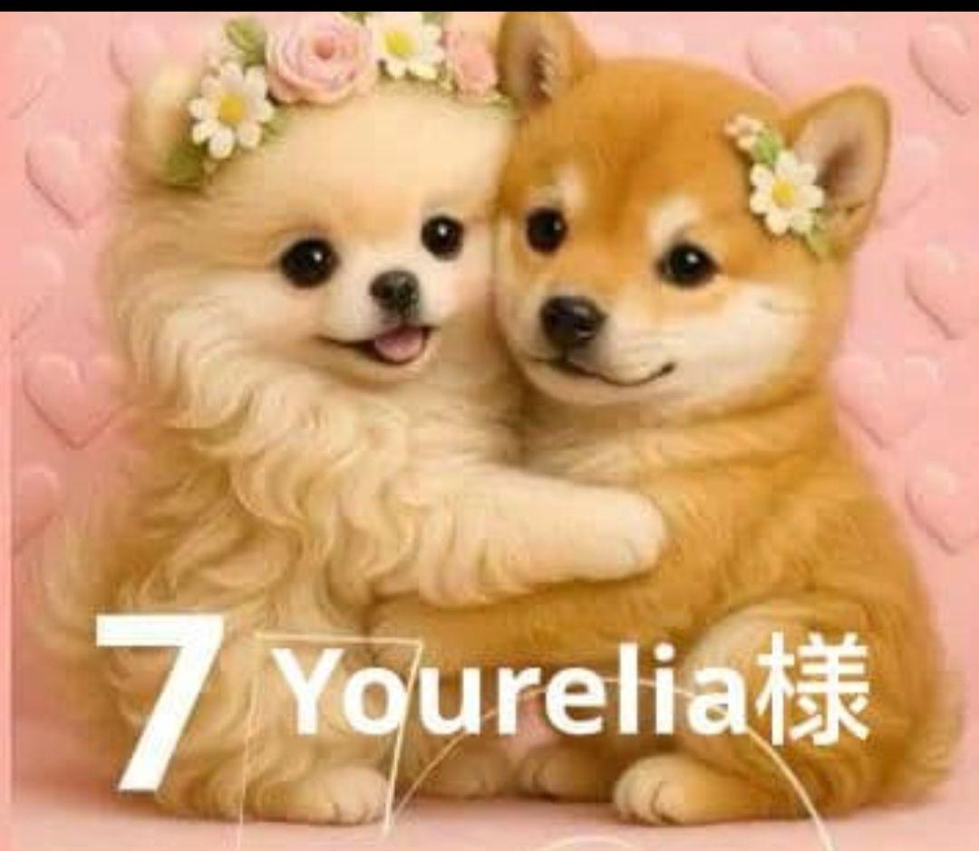 ご確認用　わんこさん柄　ハンカチ　ハンドメイド　12/1 りんご様パネル