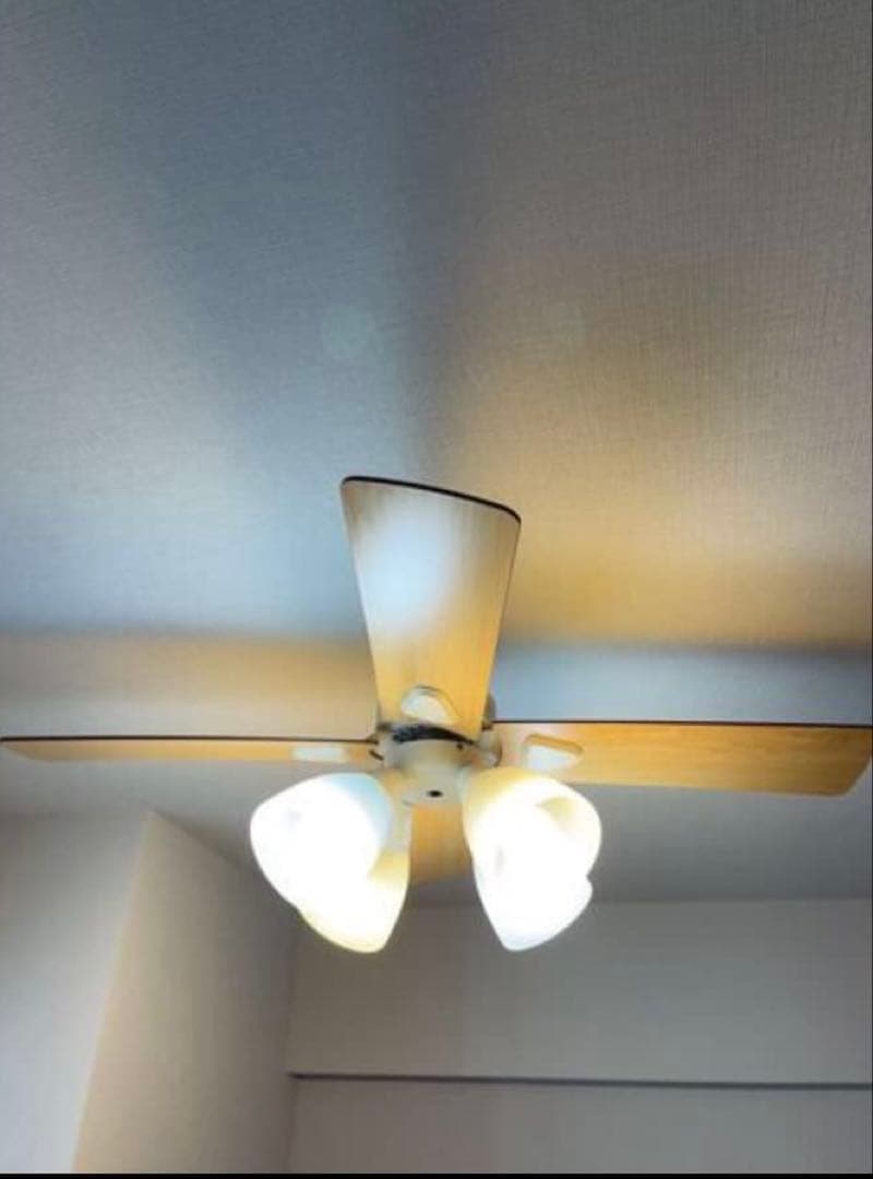 シーリングファン／pulus more_Windouble 4灯 BIG-101