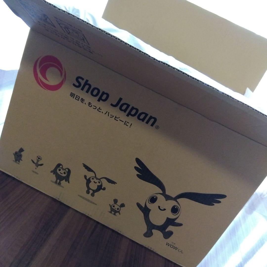 【新品未使用. 未開封】トゥルースリーパーごろ寝マット　2枚組