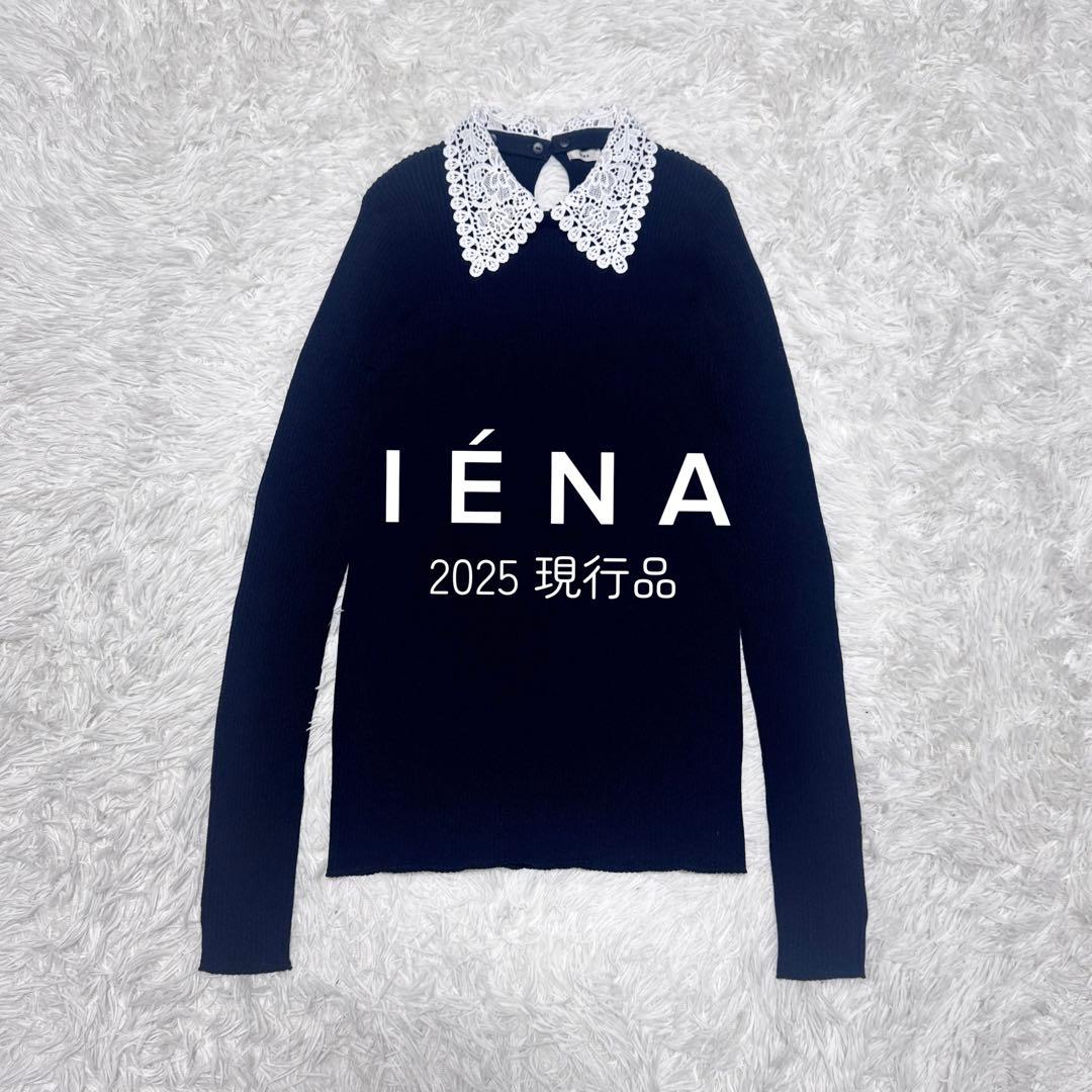 25年 美品 イエナ IENA レース襟ホールガーメント リブプルオーバー