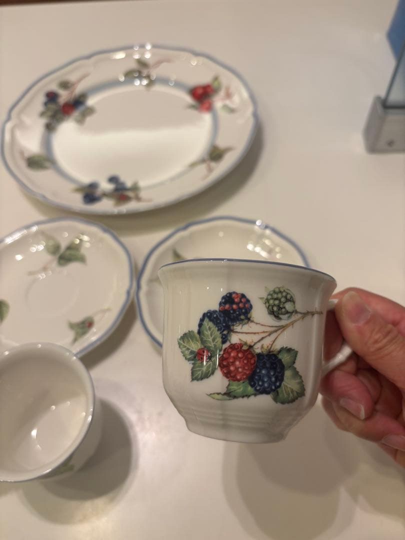 Villeroy & Boch 食器セット ベリー　フルーツ柄のセット