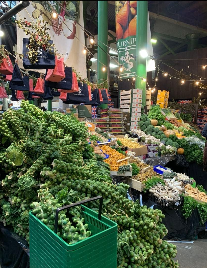 s.you1-76e-110 TOYMOCK ハンモック【新品】