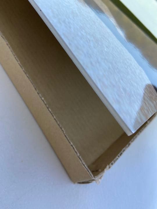 【希少】岩合光照さん　猫写真パネル！