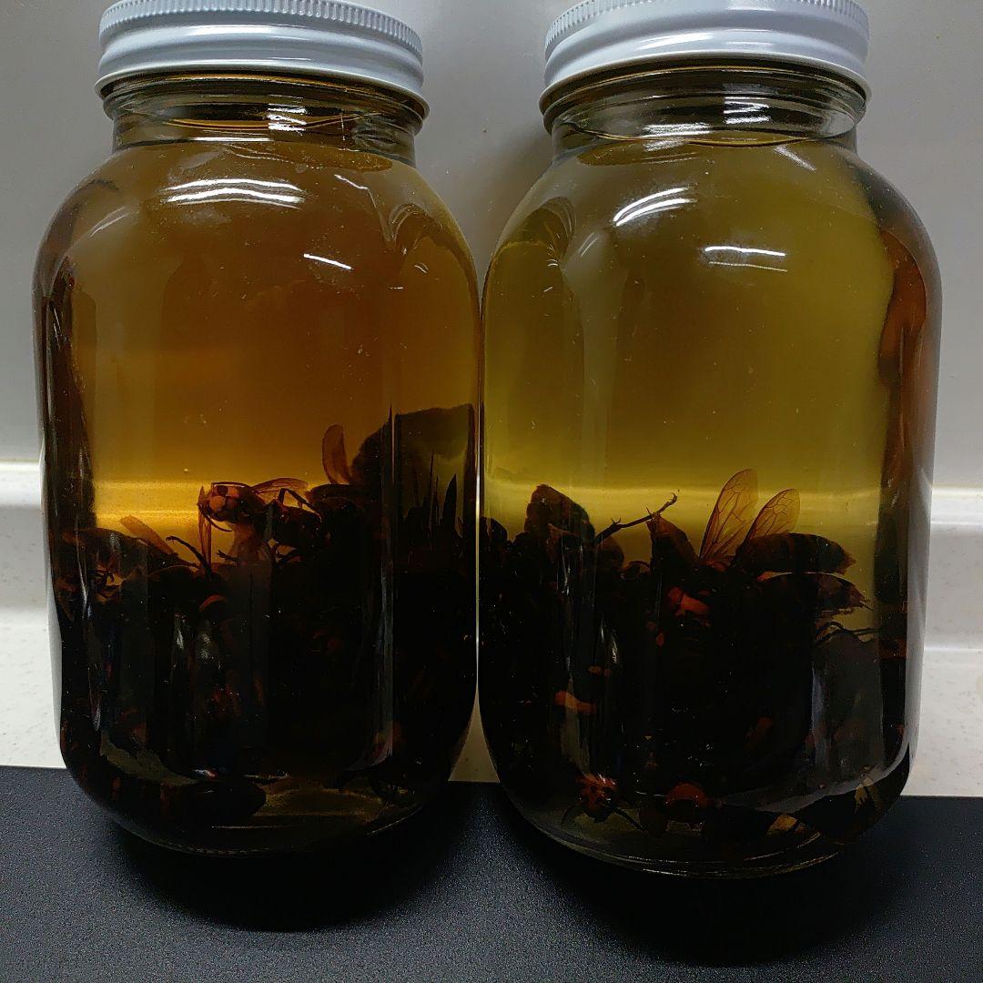 オオスズメバチ焼酎漬け1リットル✕2本　3年もの