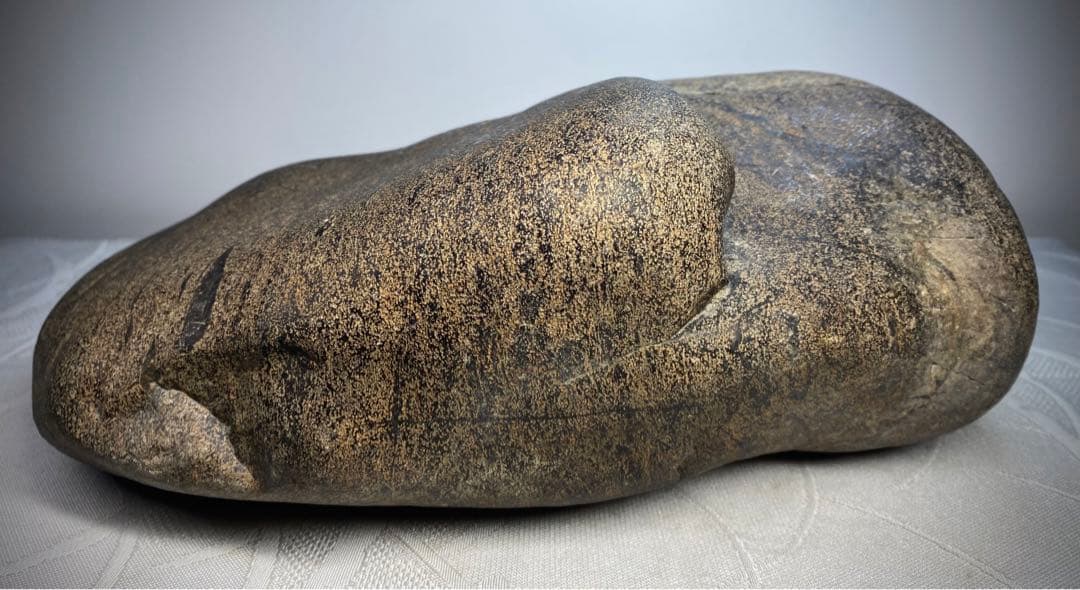 6571 《超希少》犀川金梨地石 ウブ 水石 盆栽 盆石 置物