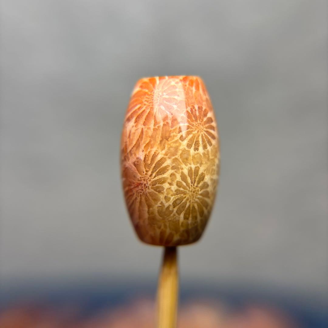 Nagiフォッシルコーラル　天珠　1-294