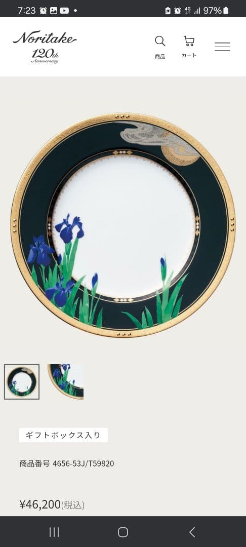 【100周年アニバーサリー】ノリタケ②　四季彩舞曲　桜　27cmプレート