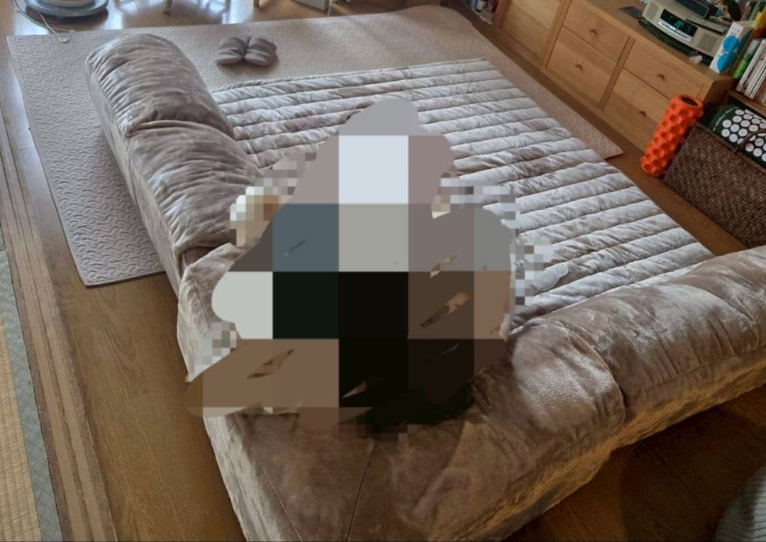 ベルメゾン　グータラグ　カバーが洗える撥水タイプ&なめらか生地のセット　試用のみ