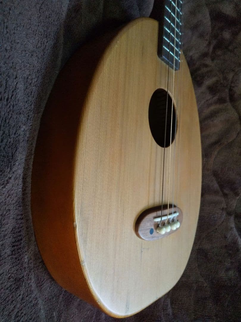 楽器　一五一会　奏生　DVD付き