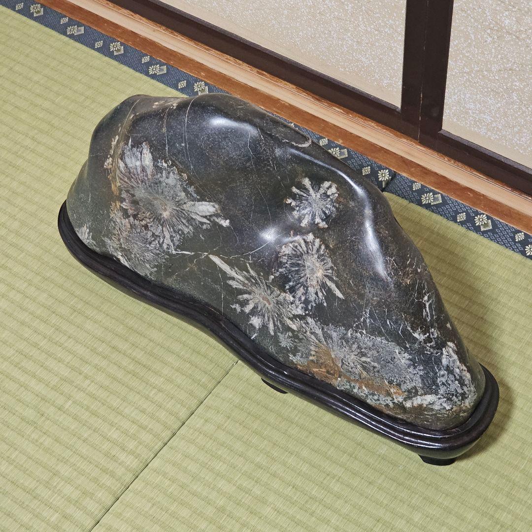 根尾菊花石18kg 台座付き　岐阜県根尾谷産　銘石水石鑑賞石