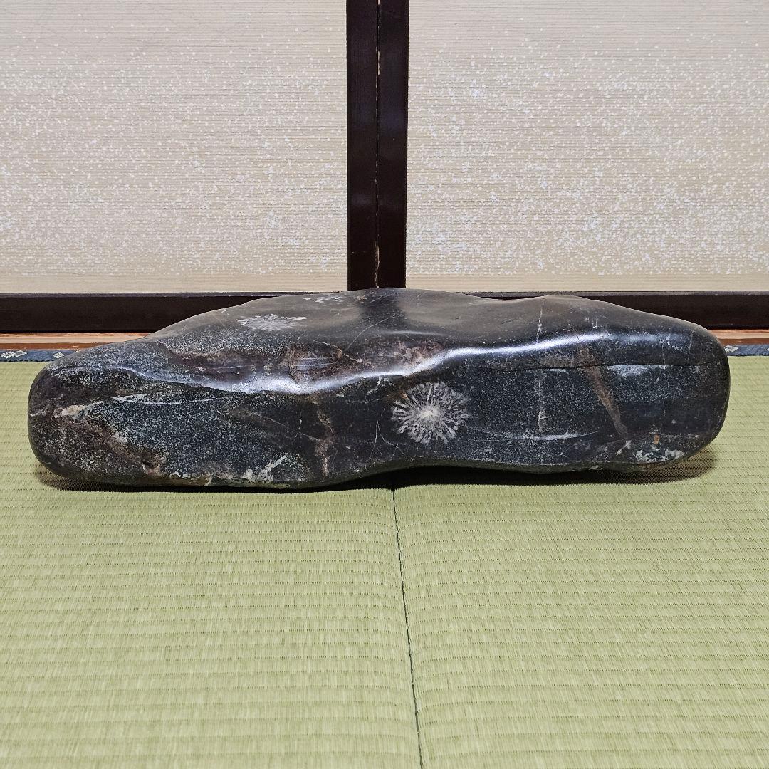根尾菊花石18kg 台座付き　岐阜県根尾谷産　銘石水石鑑賞石