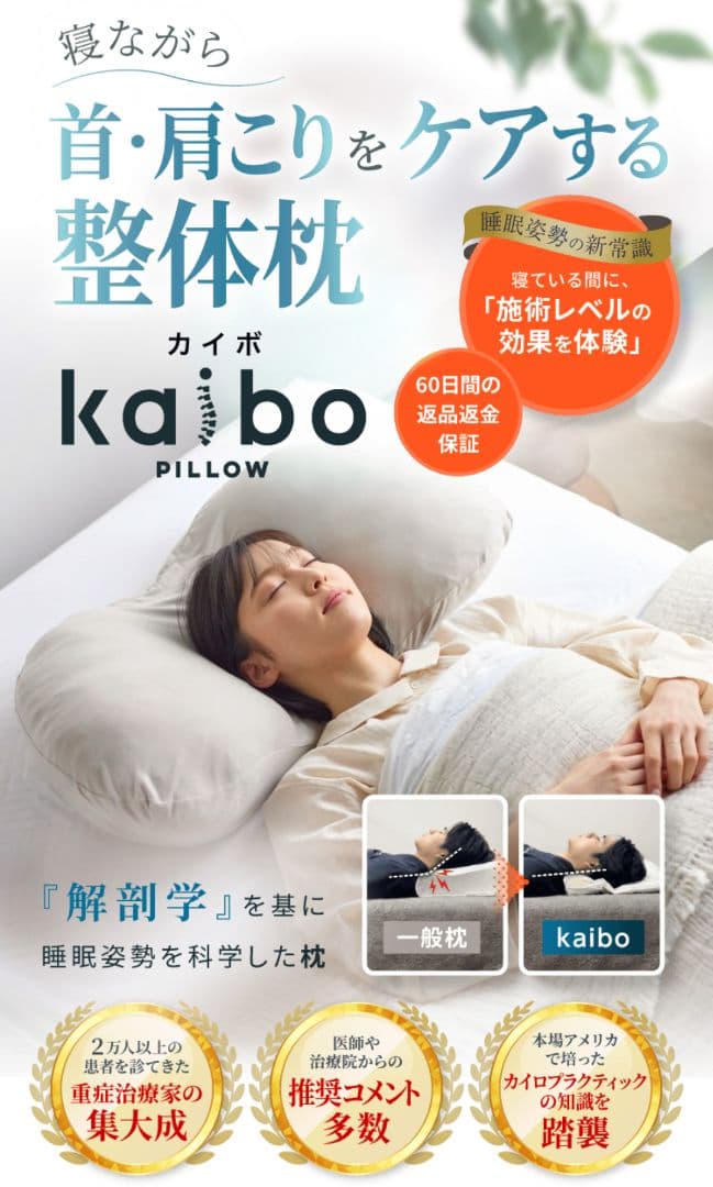 解剖学に基づいて設計された枕　kaibo PILLOW 整体枕 未使用