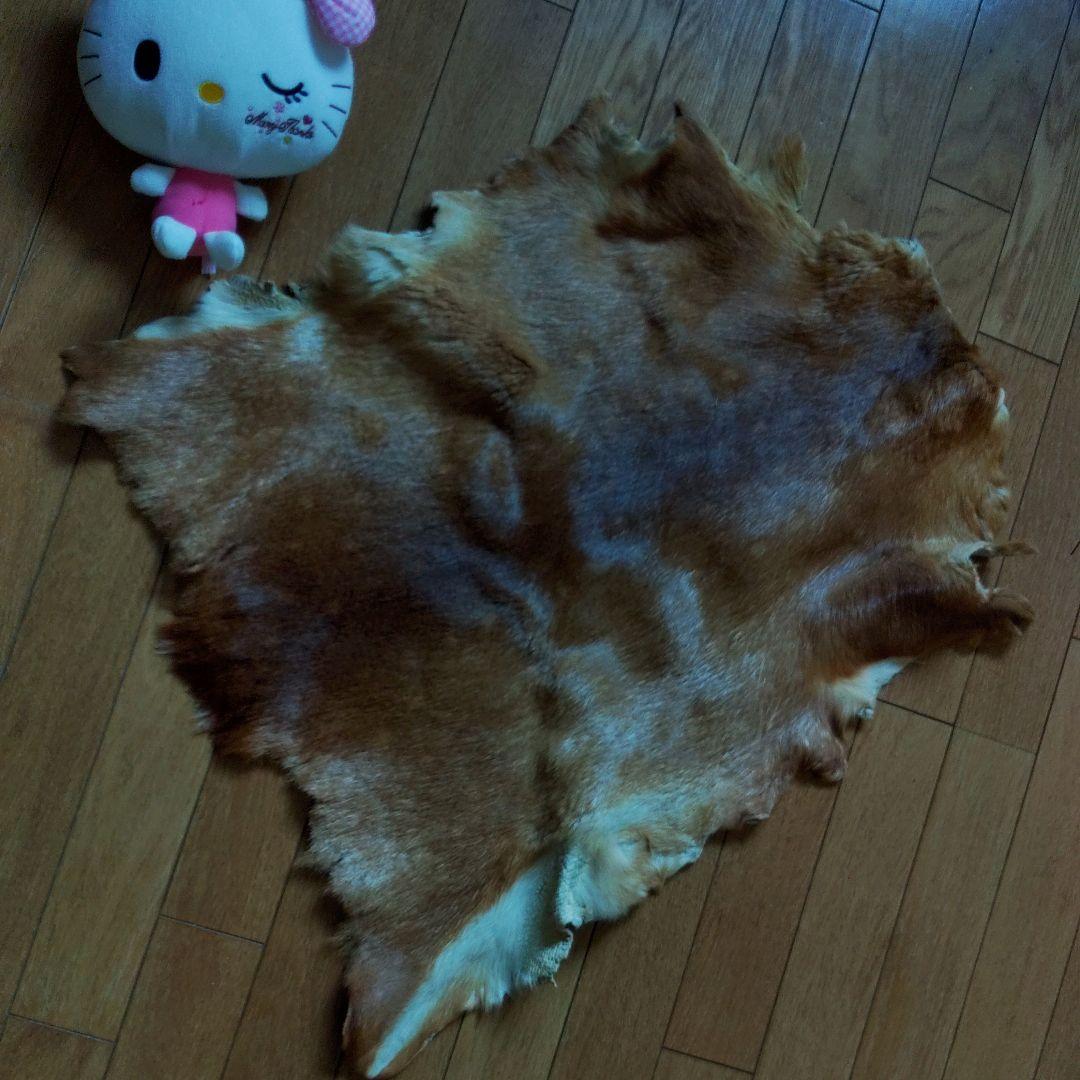 小鹿の毛皮