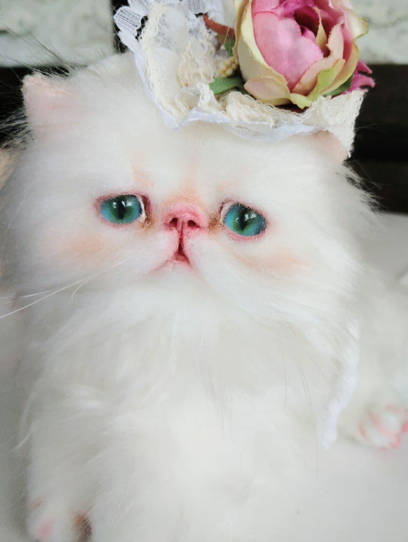 生後3ヶ月♡子猫ちゃん♡綺麗なオメメの美人さん♡アートドール♡ぬいぐるみ♡